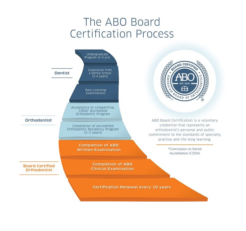 Infographic of the ABO Board Certification Process from education to renewal steps, with ABO logo